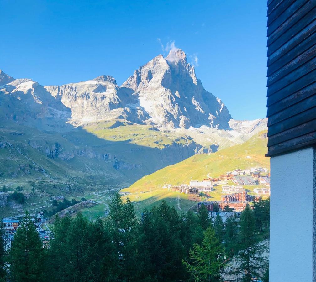 Panoramic Apartment ブレウイル・チェルヴィナイア エクステリア 写真